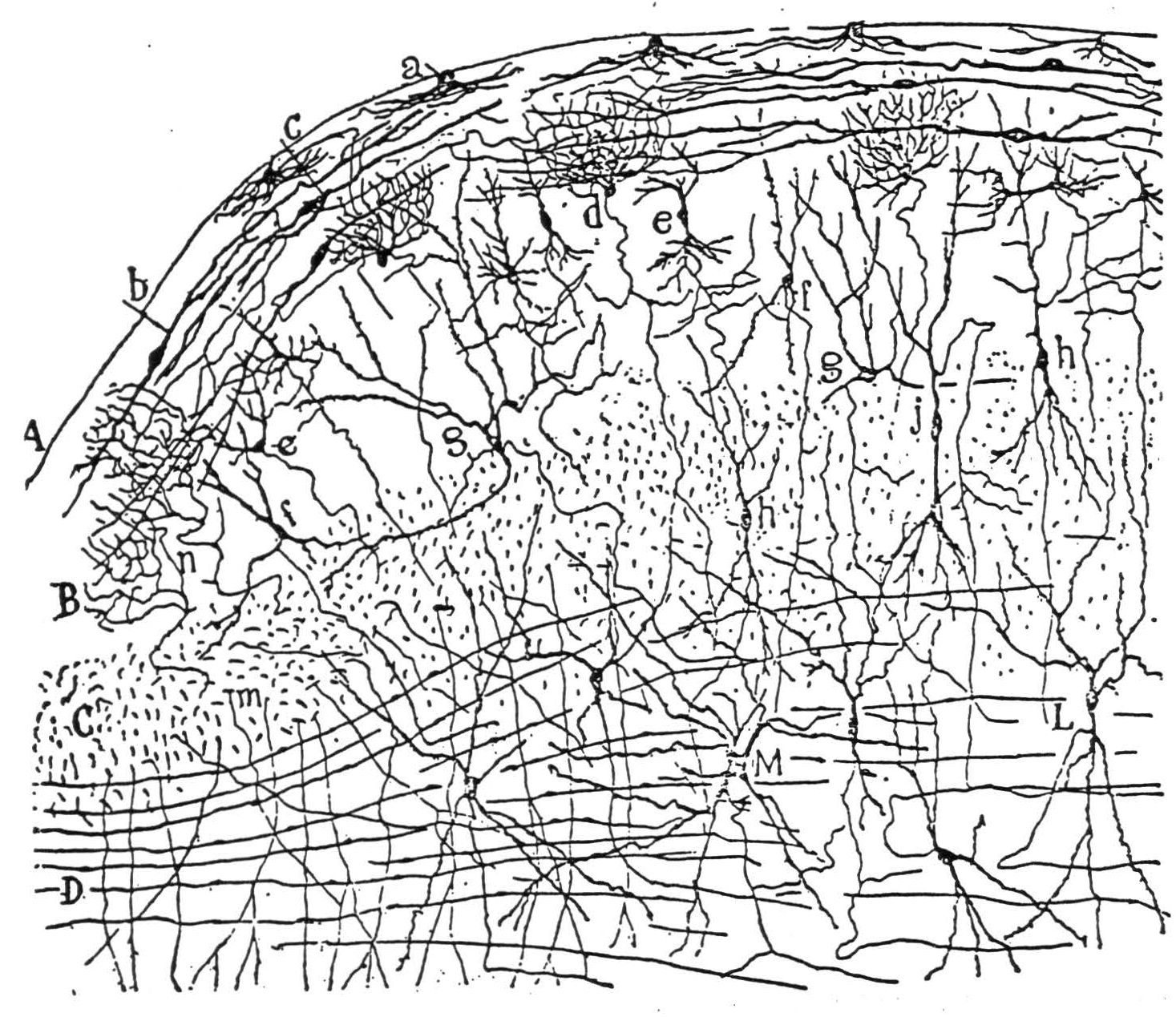 How We Know Universals The Perception Of Auditory And Visual Forms